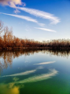 ML Red Trabue Doğa Koruma Alanı Kış Sonu, Dublin, Ohio