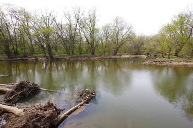 Bluebell Patikası, Three Creek Metro Parkı, Columbus, Ohio