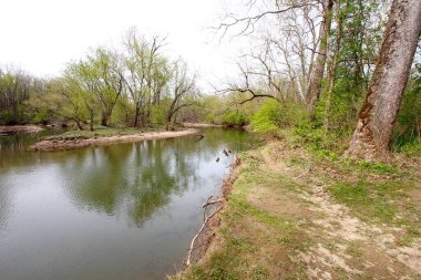 Bluebell Patikası, Three Creek Metro Parkı, Columbus, Ohio