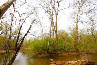 Bluebell Patikası, Three Creek Metro Parkı, Columbus, Ohio