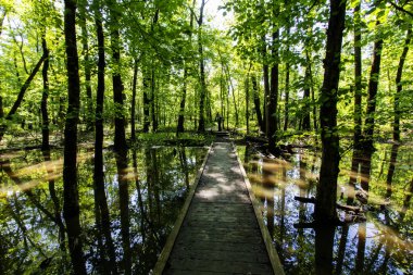 Baharda İkiz Bataklık Doğa Koruma Alanı, Posey County, Indiana
