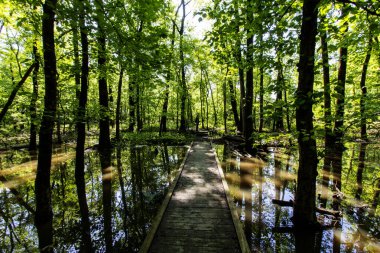 Baharda İkiz Bataklık Doğa Koruma Alanı, Posey County, Indiana
