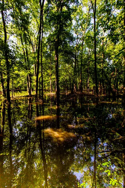 Baharda İkiz Bataklık Doğa Koruma Alanı, Posey County, Indiana