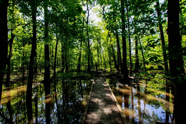 Baharda İkiz Bataklık Doğa Koruma Alanı, Posey County, Indiana