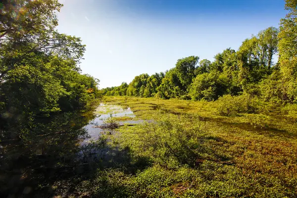 Angel Mounds Eyalet Tarihi Sitesi, Evansville, Indiana