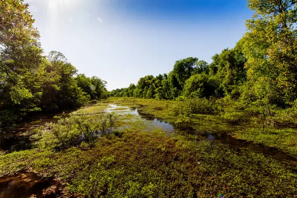 Angel Mounds Eyalet Tarihi Sitesi, Evansville, Indiana