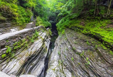 Watkins Glen Eyalet Parkı, New York