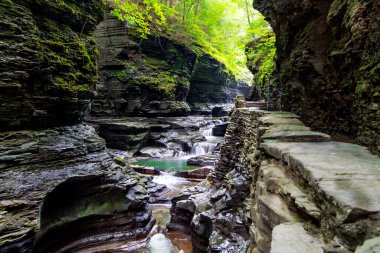 Watkins Glen Eyalet Parkı, New York