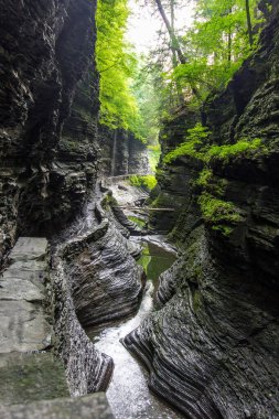 Pluto Falls, Watkins Glen Eyalet Parkı, New York