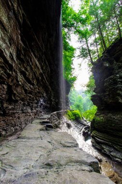 Pluto Falls, Watkins Glen Eyalet Parkı, New York