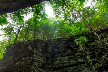 Pluto Falls, Watkins Glen Eyalet Parkı, New York