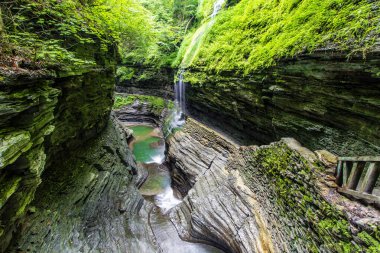 Watkins Glen Eyalet Parkı, New York