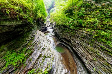 Watkins Glen Eyalet Parkı, New York