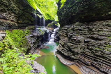 Watkins Glen Eyalet Parkı, New York