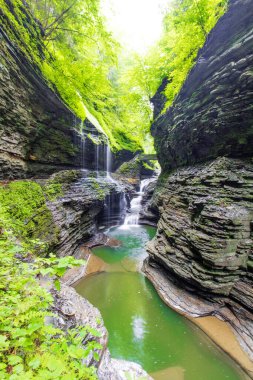Watkins Glen Eyalet Parkı, New York