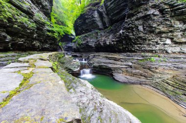Watkins Glen Eyalet Parkı, New York