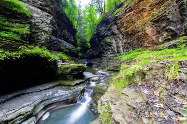 Watkins Glen Eyalet Parkı, New York