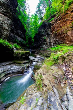 Watkins Glen Eyalet Parkı, New York