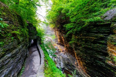 Watkins Glen Eyalet Parkı, New York