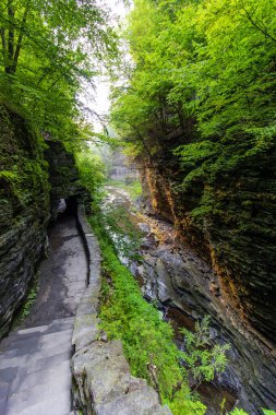 Watkins Glen Eyalet Parkı, New York