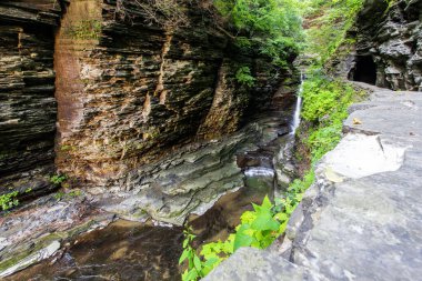 Watkins Glen Eyalet Parkı, New York