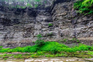 Watkins Glen Eyalet Parkı, New York