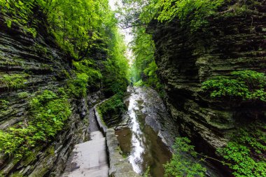 Watkins Glen Eyalet Parkı, New York