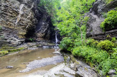 Watkins Glen Eyalet Parkı, New York