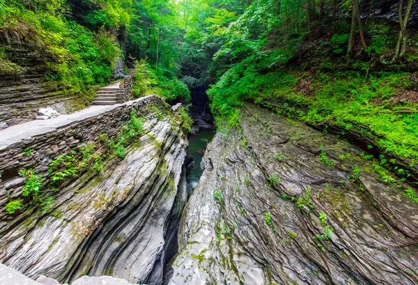 Watkins Glen Eyalet Parkı, New York