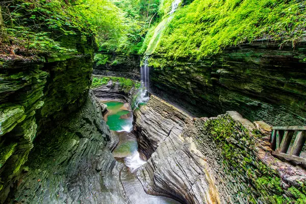 Watkins Glen Eyalet Parkı, New York