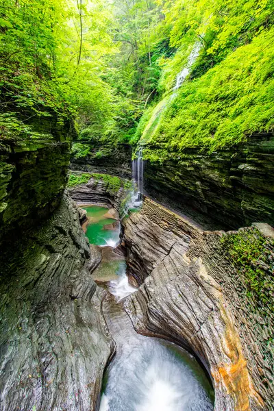 Watkins Glen Eyalet Parkı, New York