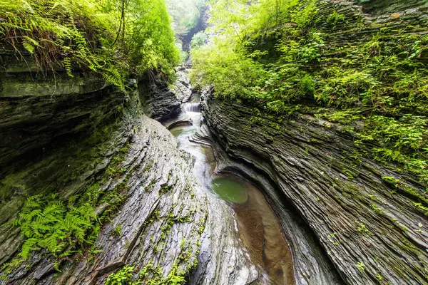 Watkins Glen Eyalet Parkı, New York
