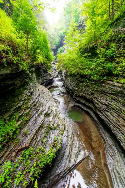 Watkins Glen Eyalet Parkı, New York