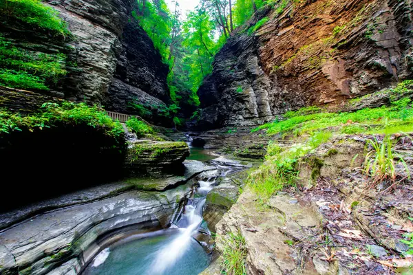Watkins Glen Eyalet Parkı, New York