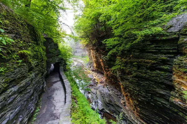 Watkins Glen Eyalet Parkı, New York