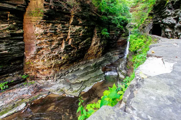 Watkins Glen Eyalet Parkı, New York