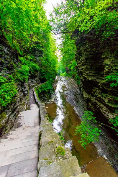 Watkins Glen Eyalet Parkı, New York