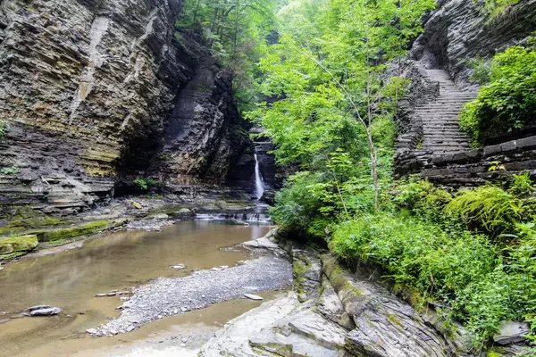 Watkins Glen Eyalet Parkı, New York