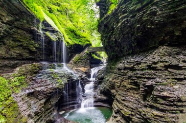 Watkins Glen Eyalet Parkı, New York