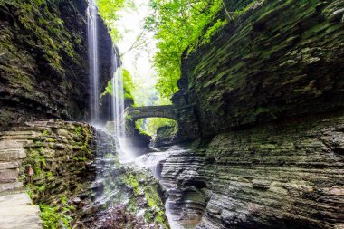 Watkins Glen Eyalet Parkı, New York