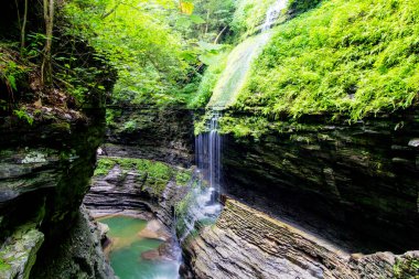 Watkins Glen Eyalet Parkı, New York