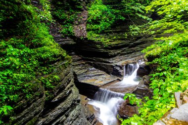 Watkins Glen Eyalet Parkı, New York