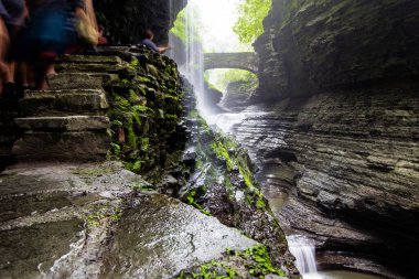 Watkins Glen Eyalet Parkı, New York