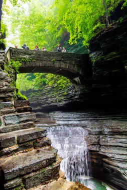 Watkins Glen Eyalet Parkı, New York