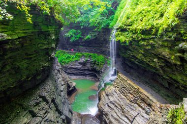 Watkins Glen Eyalet Parkı, New York