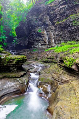 Watkins Glen Eyalet Parkı, New York