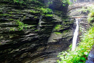 Watkins Glen Eyalet Parkı, New York
