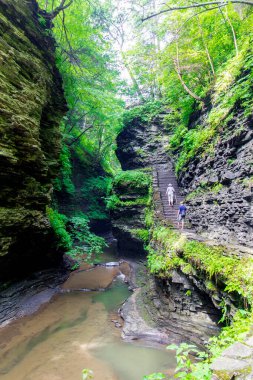 Watkins Glen Eyalet Parkı, New York