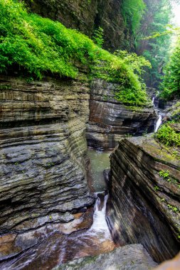 Watkins Glen Eyalet Parkı, New York