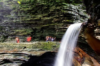 Watkins Glen Eyalet Parkı, New York